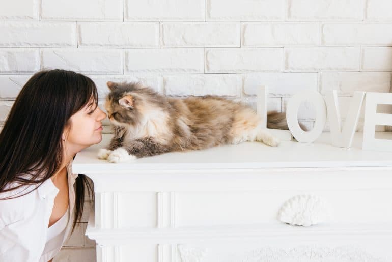 Why does my cat rub its nose on me? Kitty Cat Tips