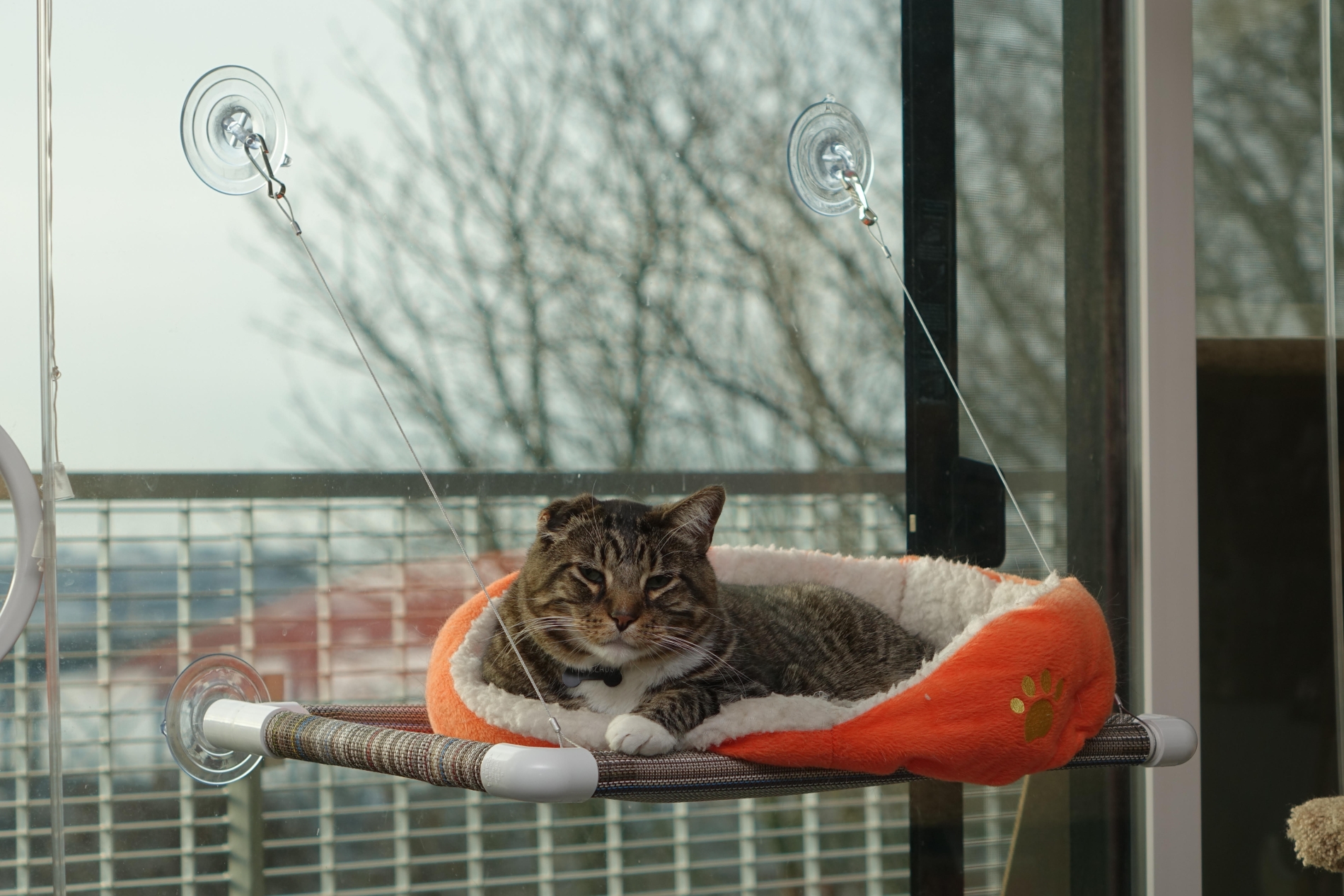 Kitty Cot Original™ World's BEST Cat Perch™