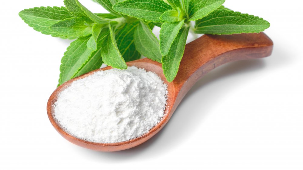 Is Stevia Safe for Cats? Kitty Devotees