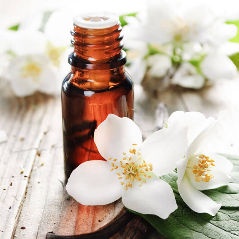 Is Vanilla Essential Oil Safe For Cats Kitty Devotees