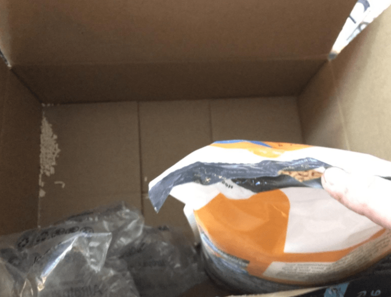 Tofu Cat Litter Review The Kitty Expert