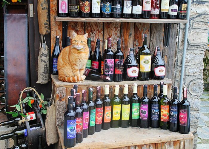 Alcohol Names for Cats The Kitty Expert