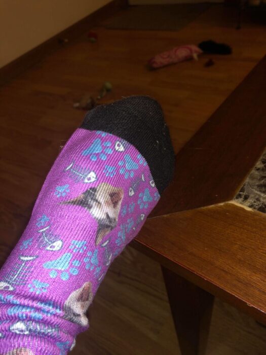Printsfield Custom Cat Socks The Kitty Expert