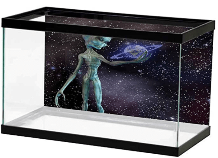 Space Themed Aquarium Decorations The Kitty Expert