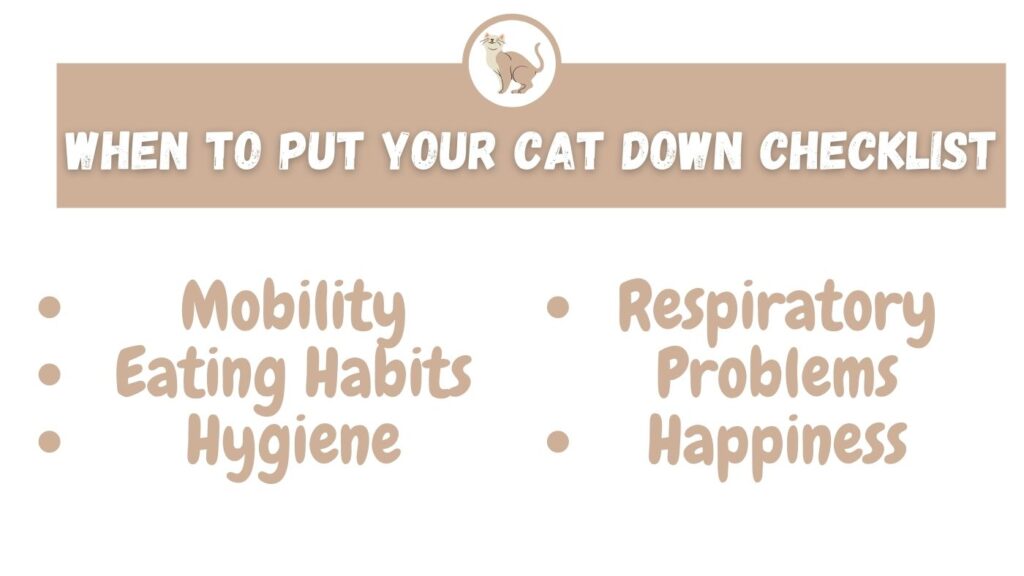 When To Put Your Cat Down Checklist The Kitty Expert