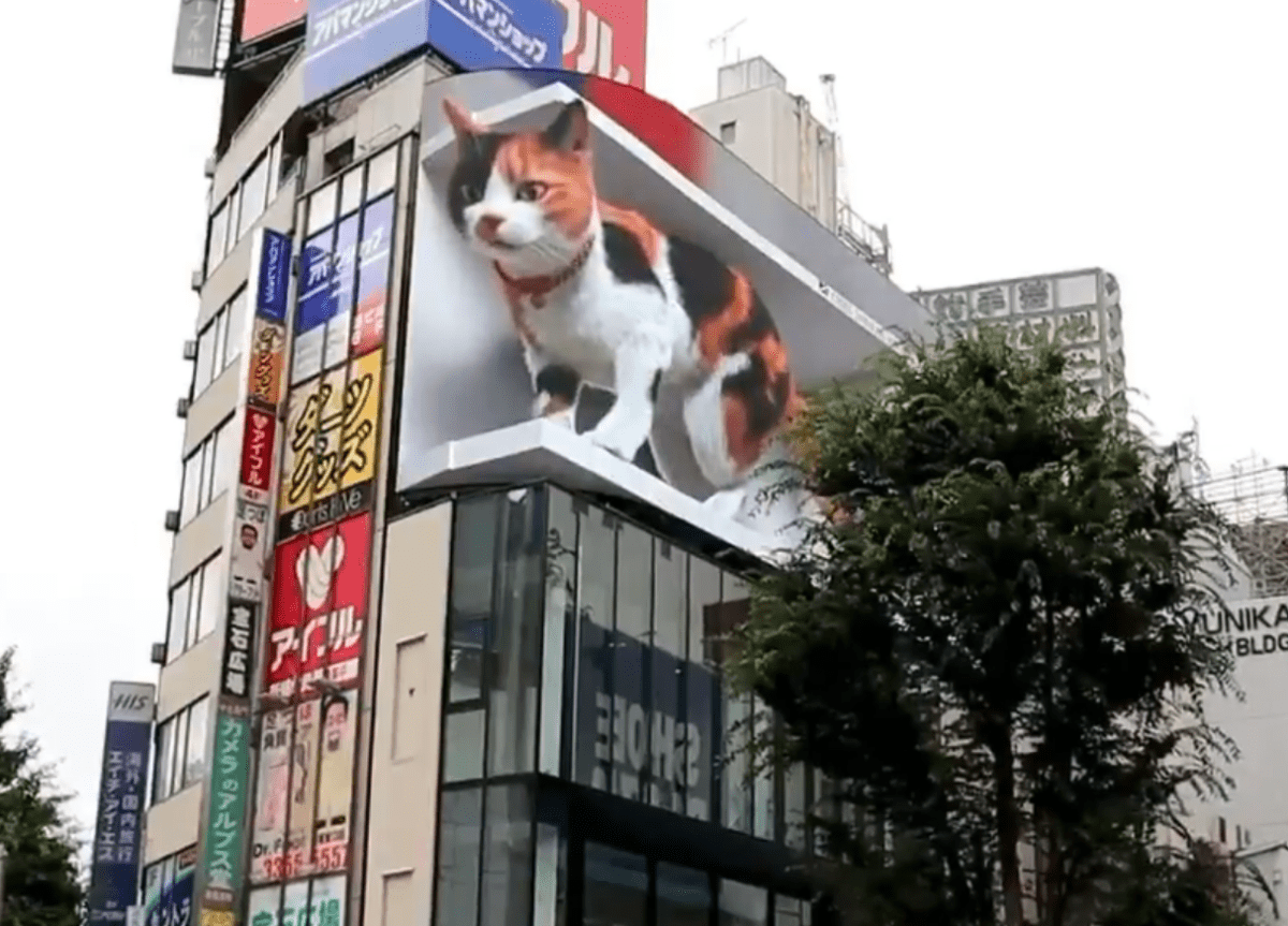 3D Cat Billboard in Tokyo, Japan! The Kitty Expert