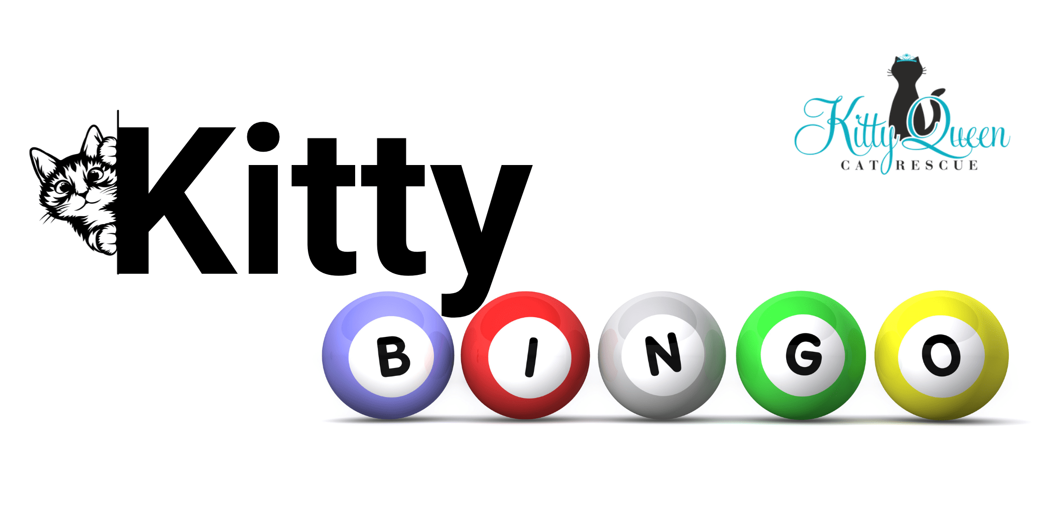 Kitty Bingo Kitty Queen Cat Rescue