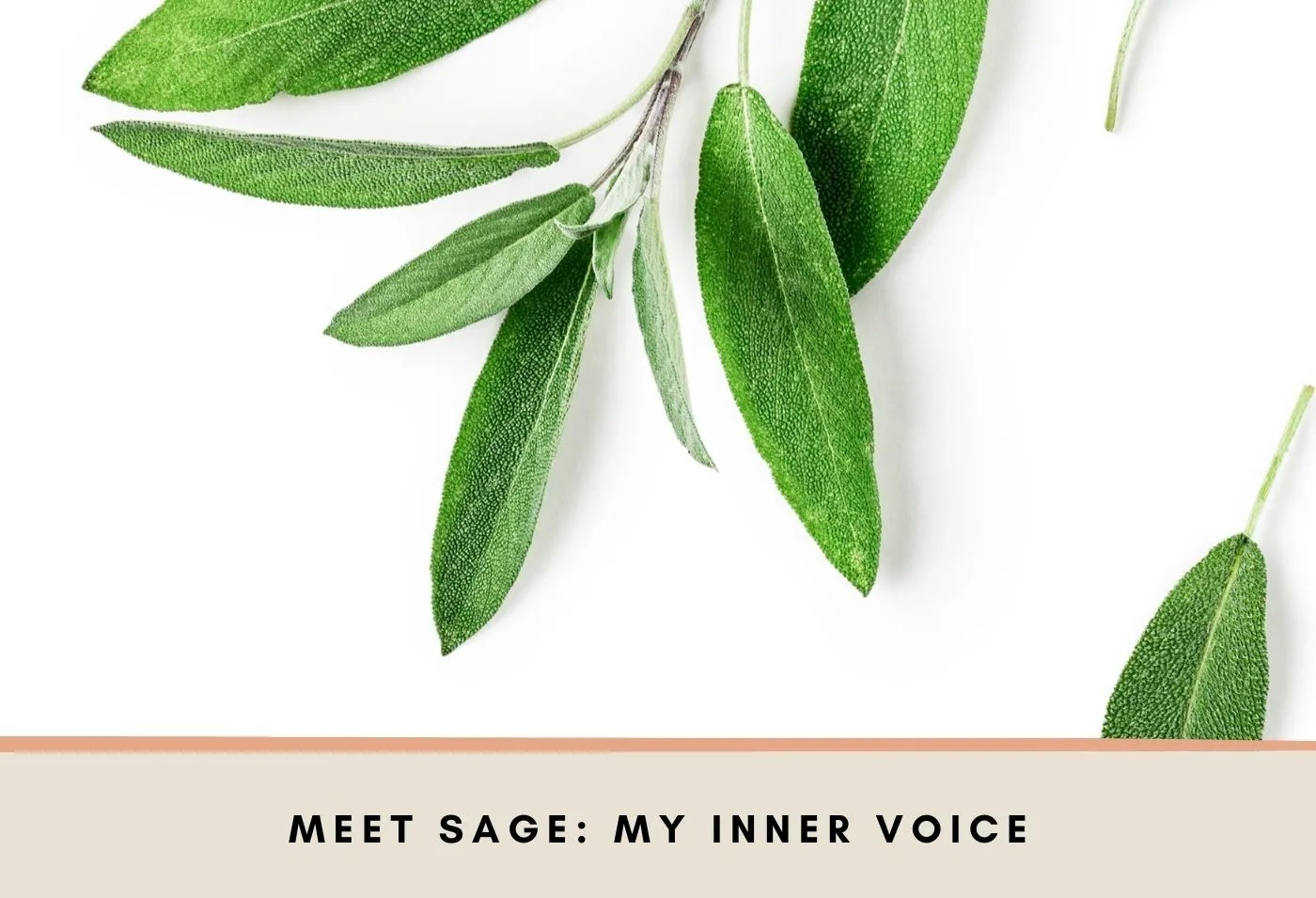 Meet Sage, My Inner Voice · Kit Yoon