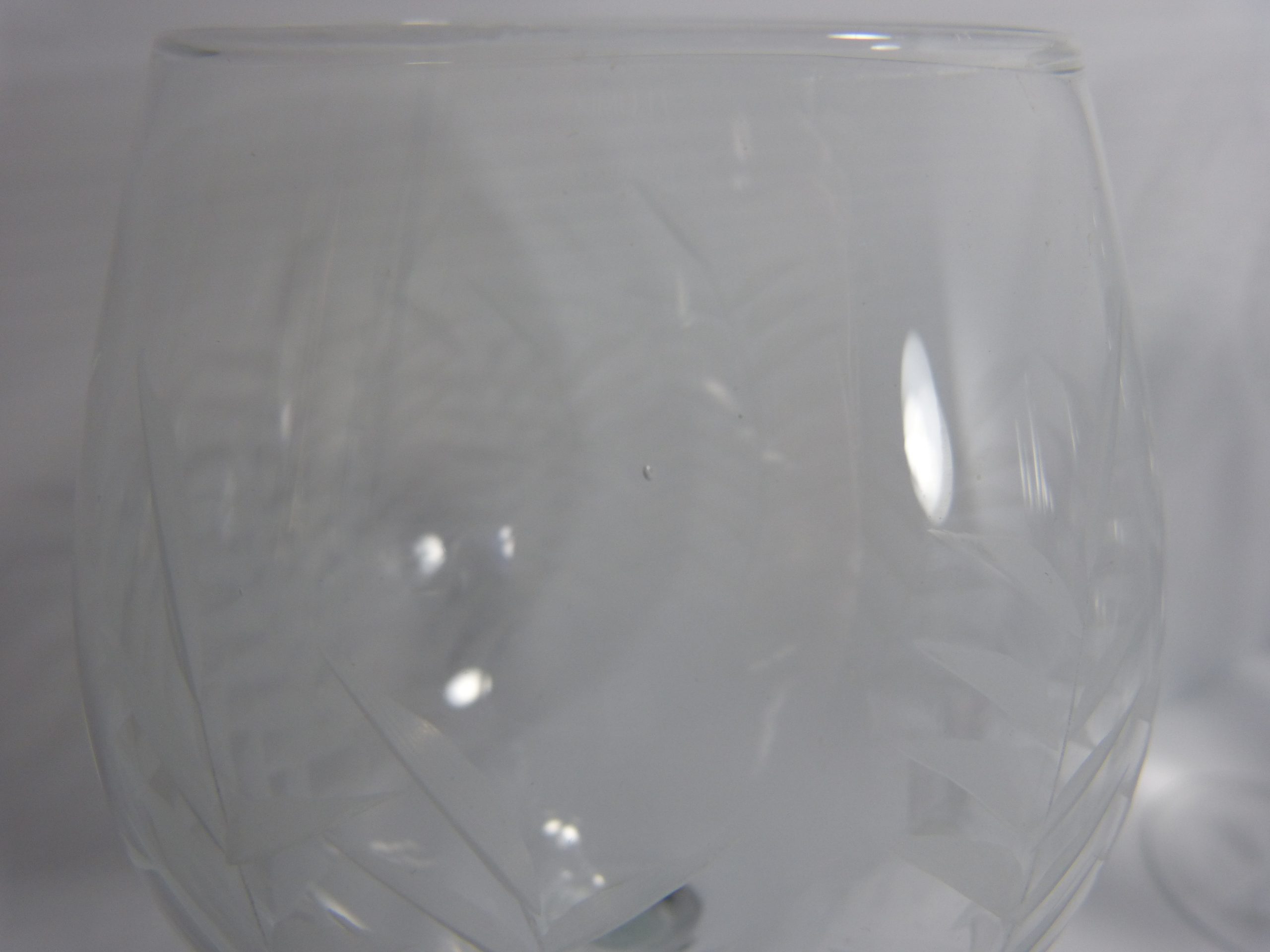 6 Tommy Bahama Etched Palm Tree Crystal Red Wine Glasses Goblets