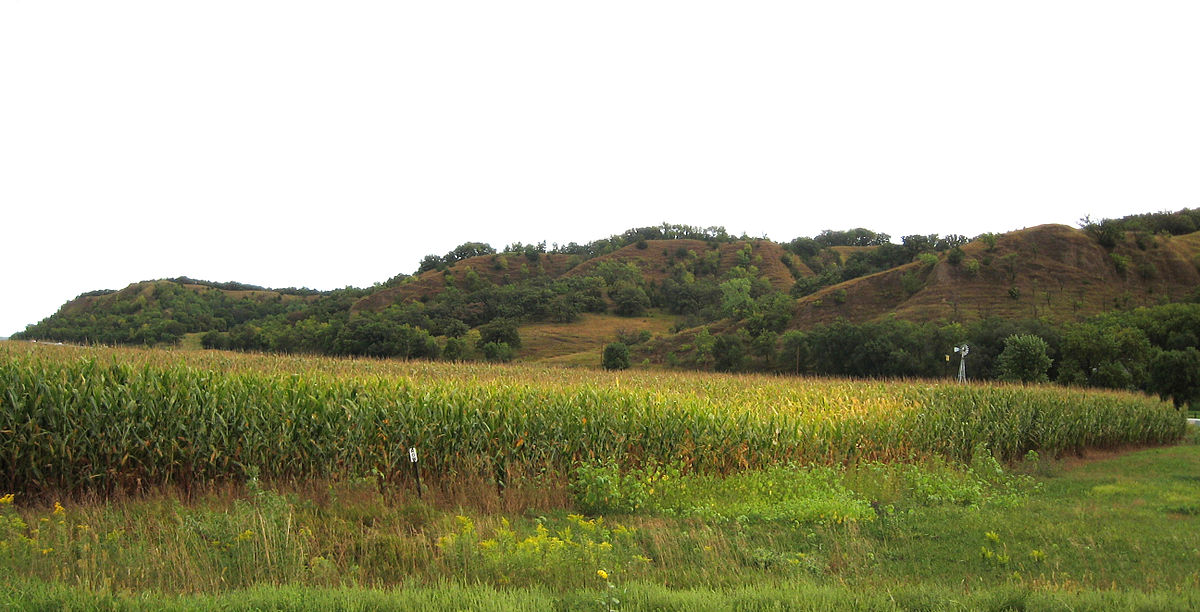 Western Iowa's Loess Hills Changes Up Forest Stewardship Strategy KIWA Radio