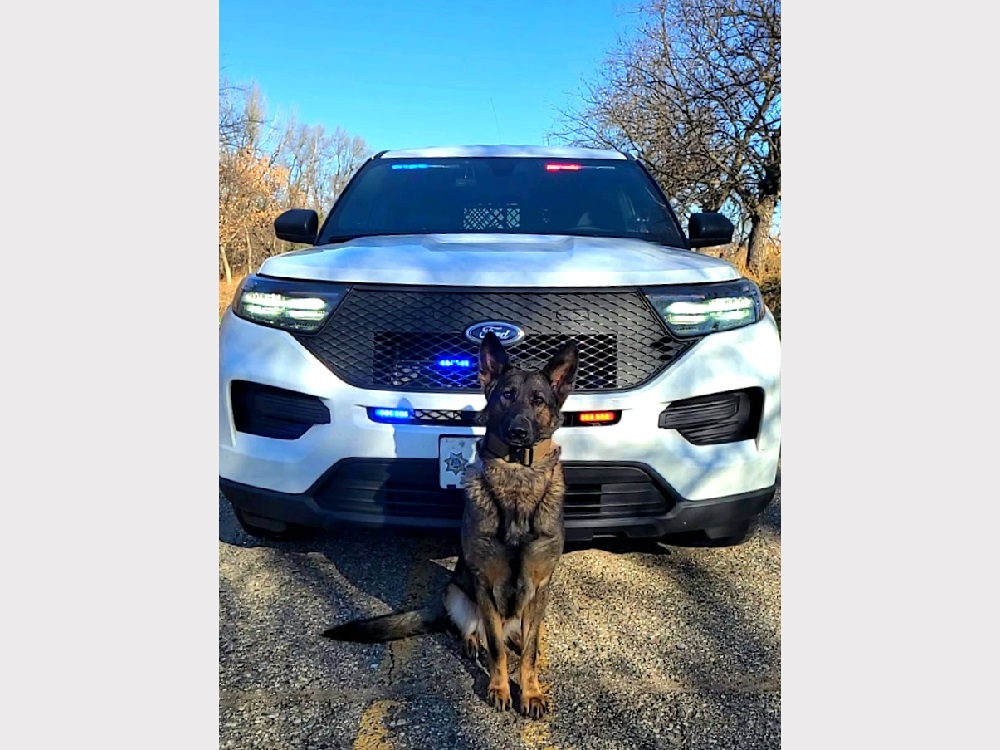 Lyon County Sheriff's Office New K9 Officer KIWA Radio