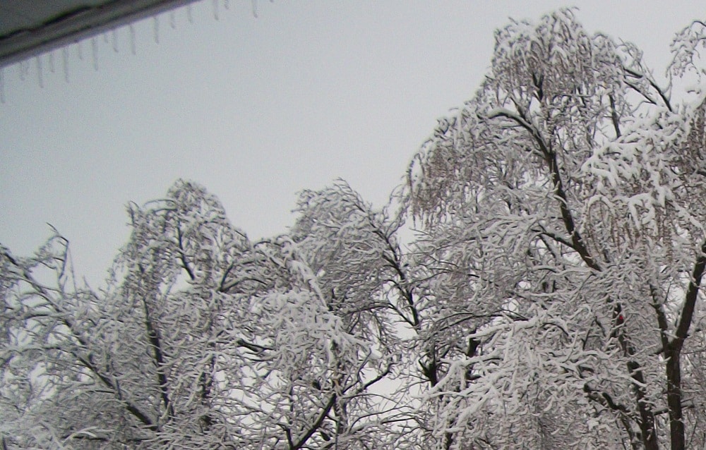 Ice Storm Leaves Some Damage In Its Wake KIWA Radio