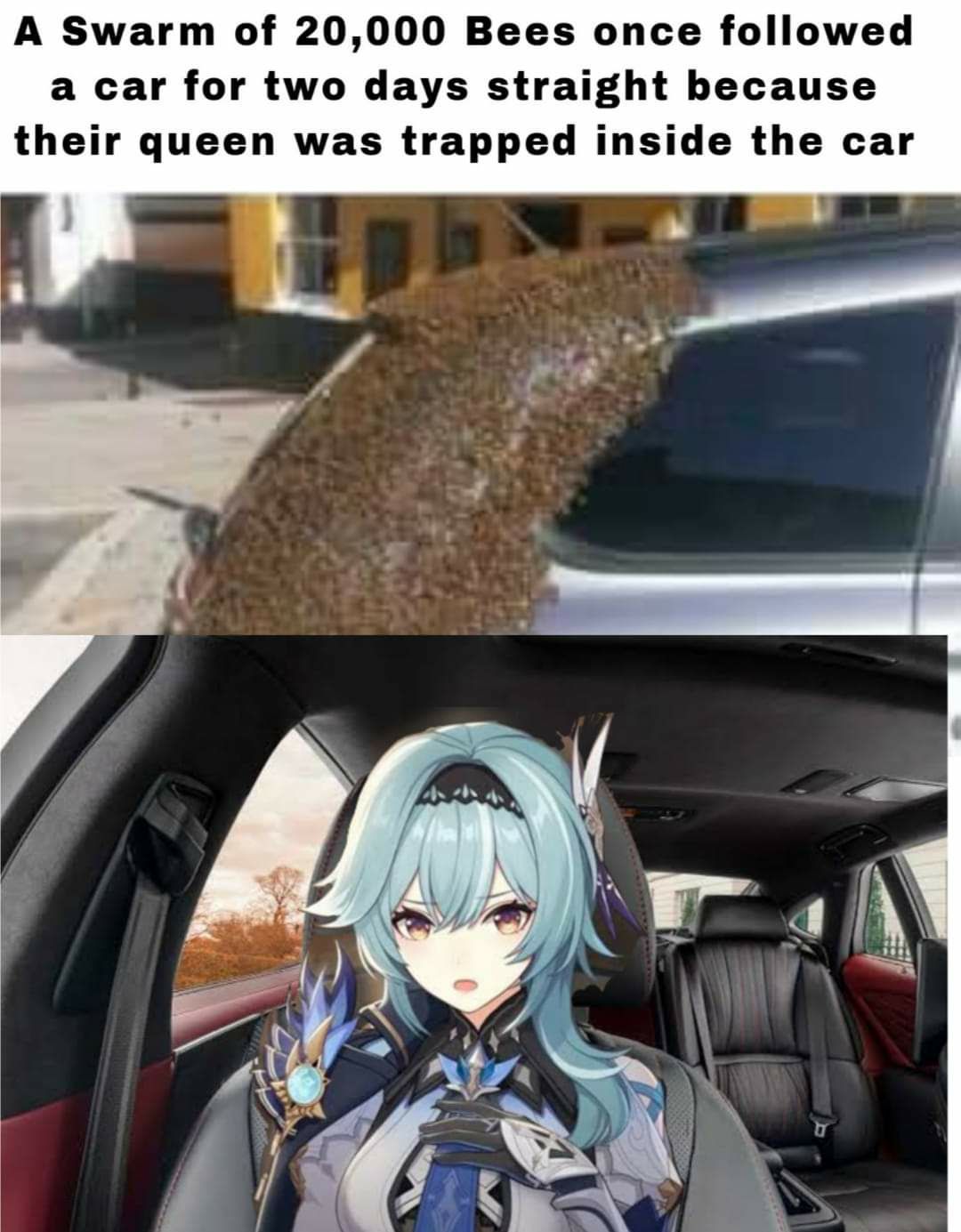 Genshin Impact Fandom Page 4 Kiwi Farms