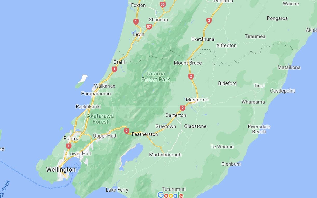 On the way to Foxton Beach Kiwi Gord