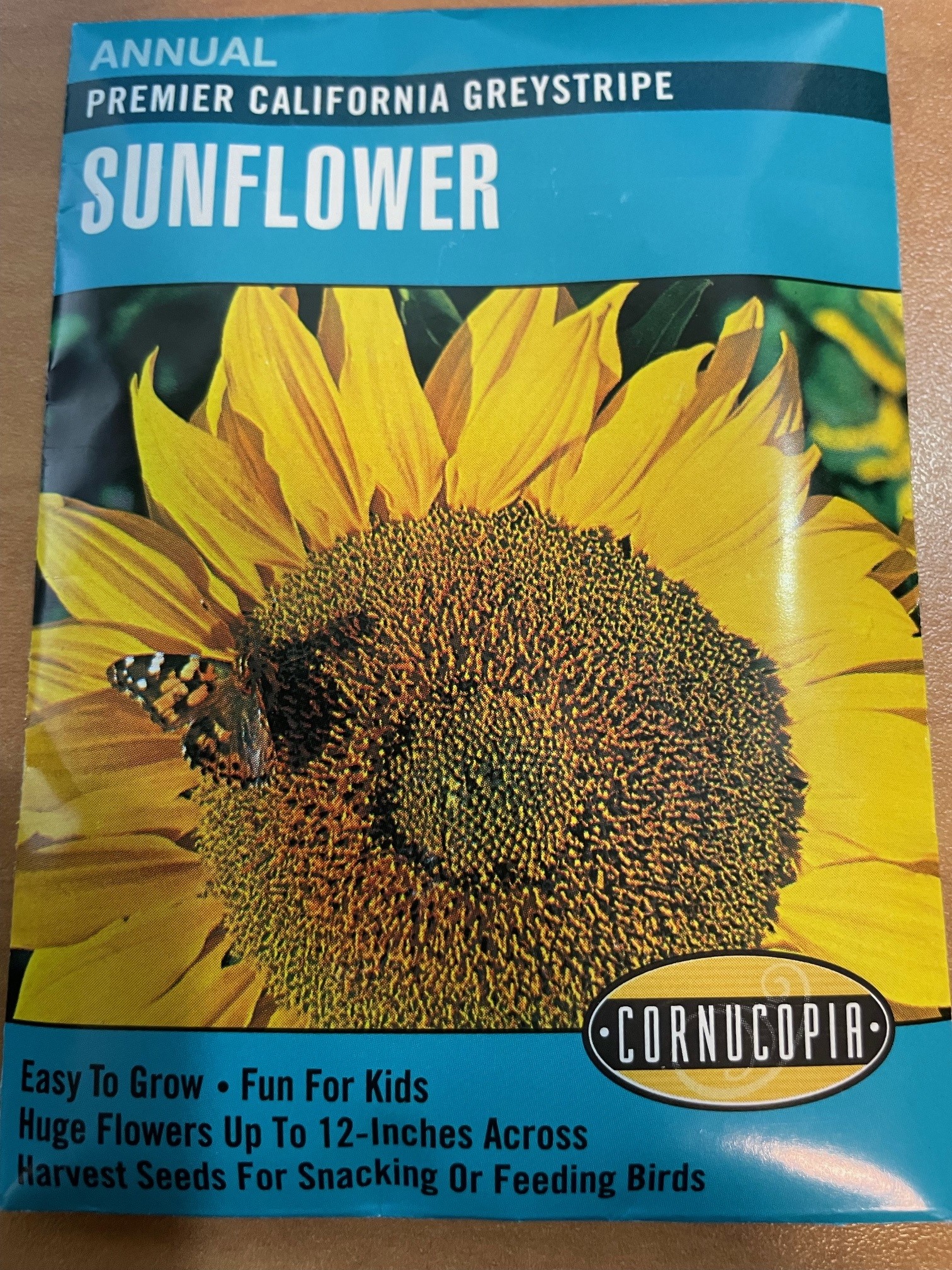 CO California Graystripe Sunflower • Kiwi Nurseries Ltd