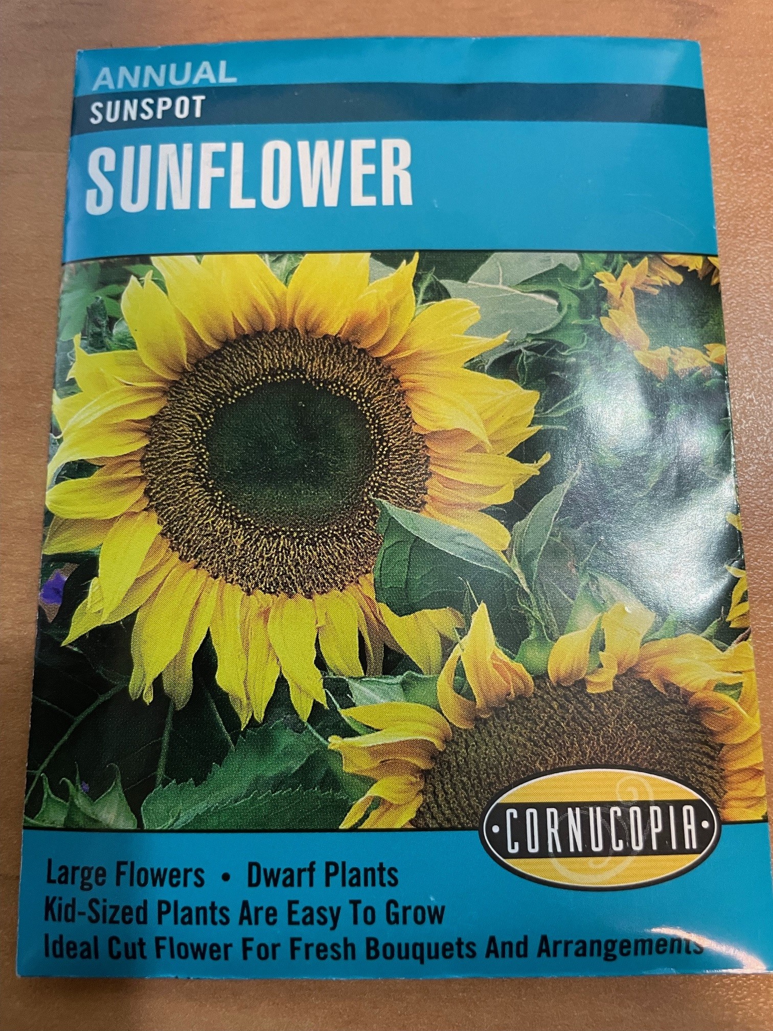 CO Sunspot Sunflowers • Kiwi Nurseries Ltd