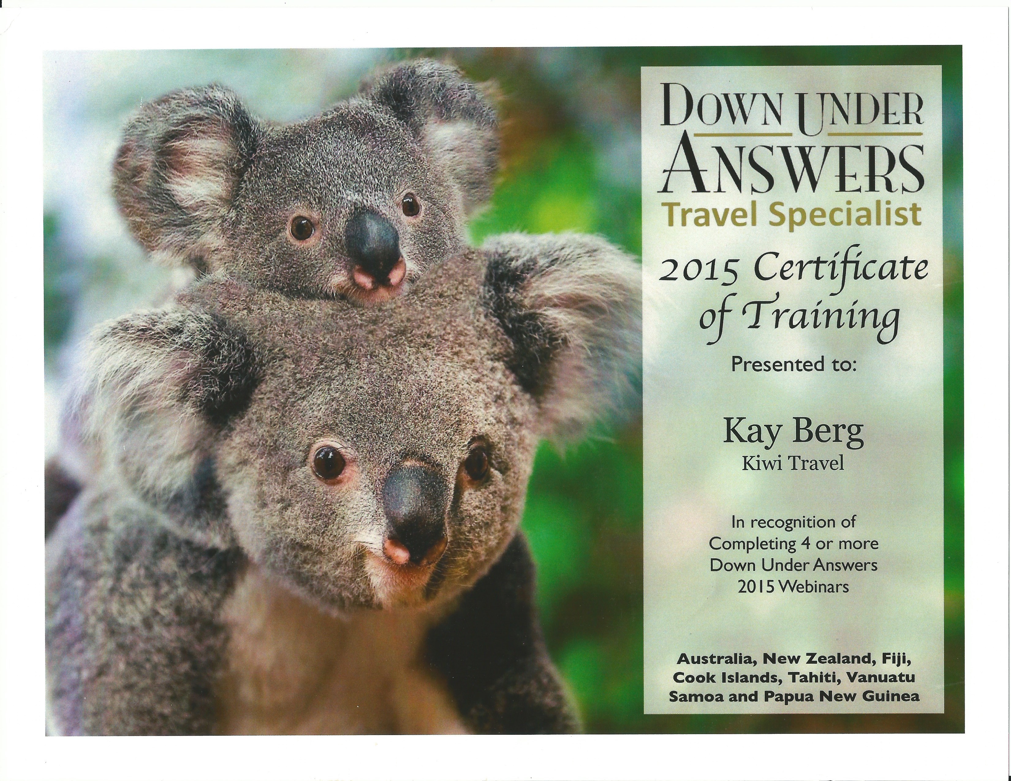 About Us Kiwi Travel