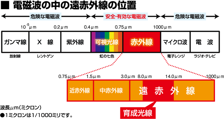 遠赤外線で健康快適 福岡注文住宅工務店（株）清武建設 一級建築士事務所
