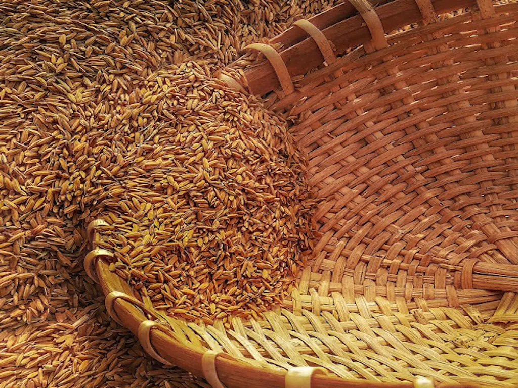 The Union Government saves crores by utilizing additional foodgrain