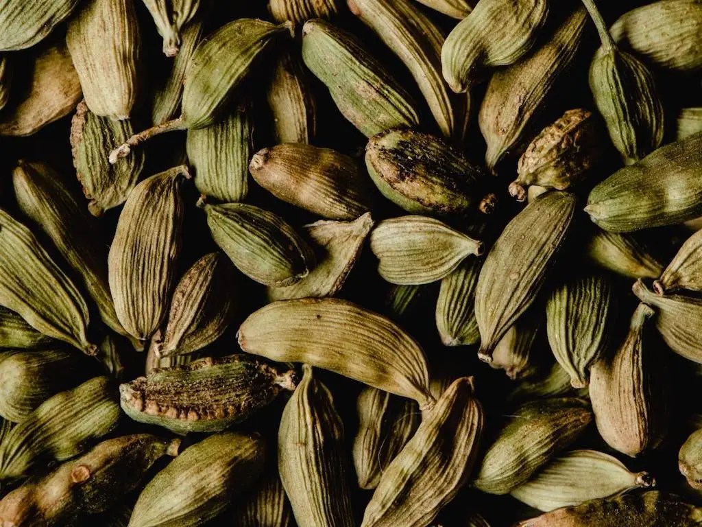 Green Vs Black Cardamom; Uses, Taste And Health Benefits