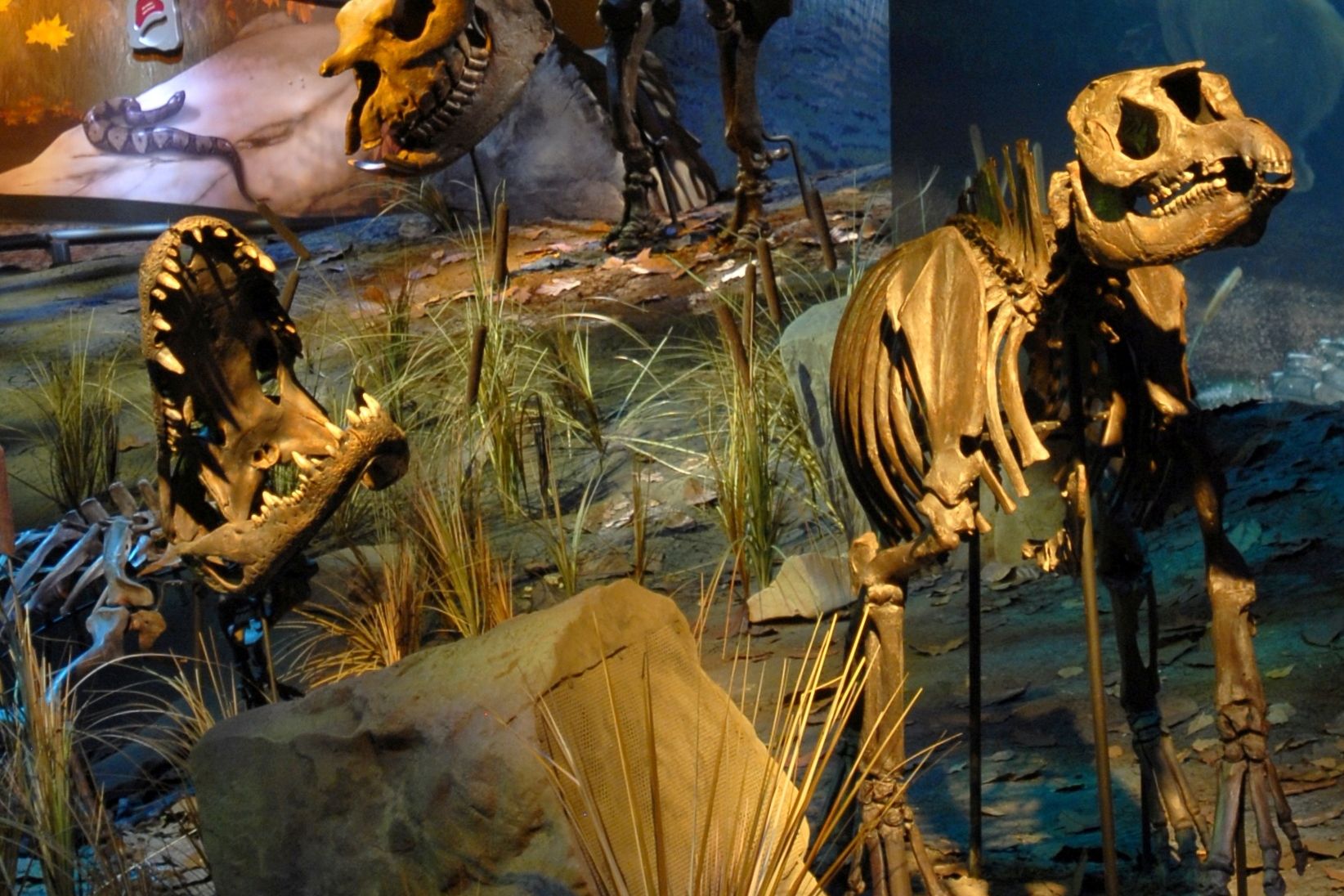 Museum opens today at Gray fossil site Khristopher J. Brooks