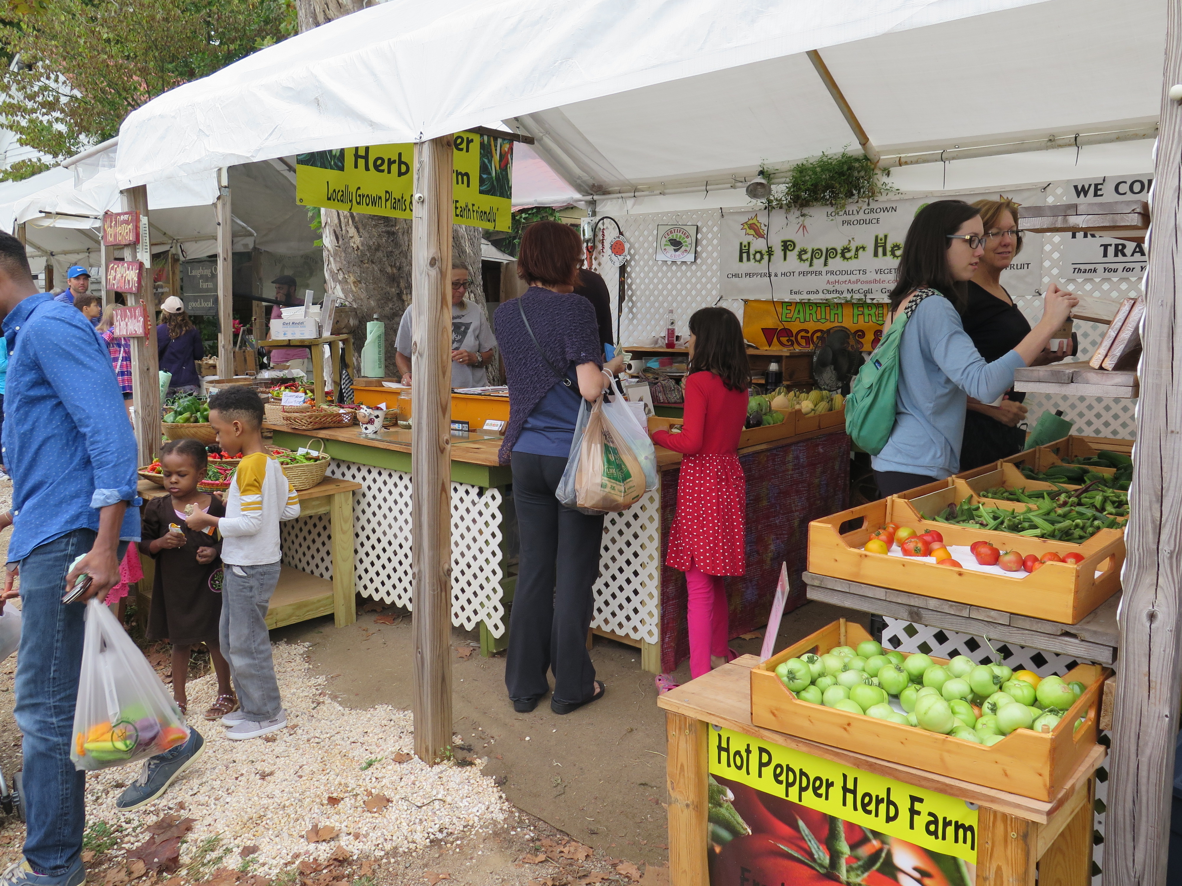 Unlocking the Potential of Charlotte’s Farmers’ Markets Karen Karp