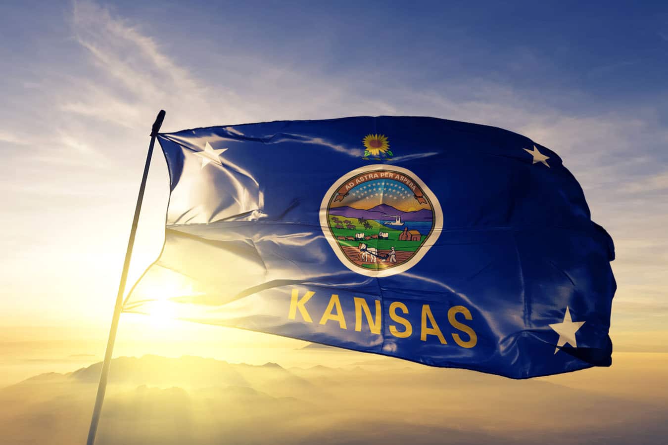 Kansas Whistleblower Protection Cases Kohn, Kohn & Colapinto