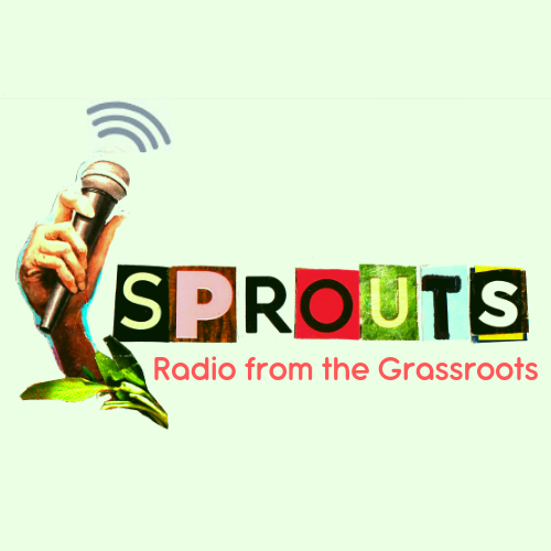 Sprouts Election 2024 Swing States, Social Media and Environmental