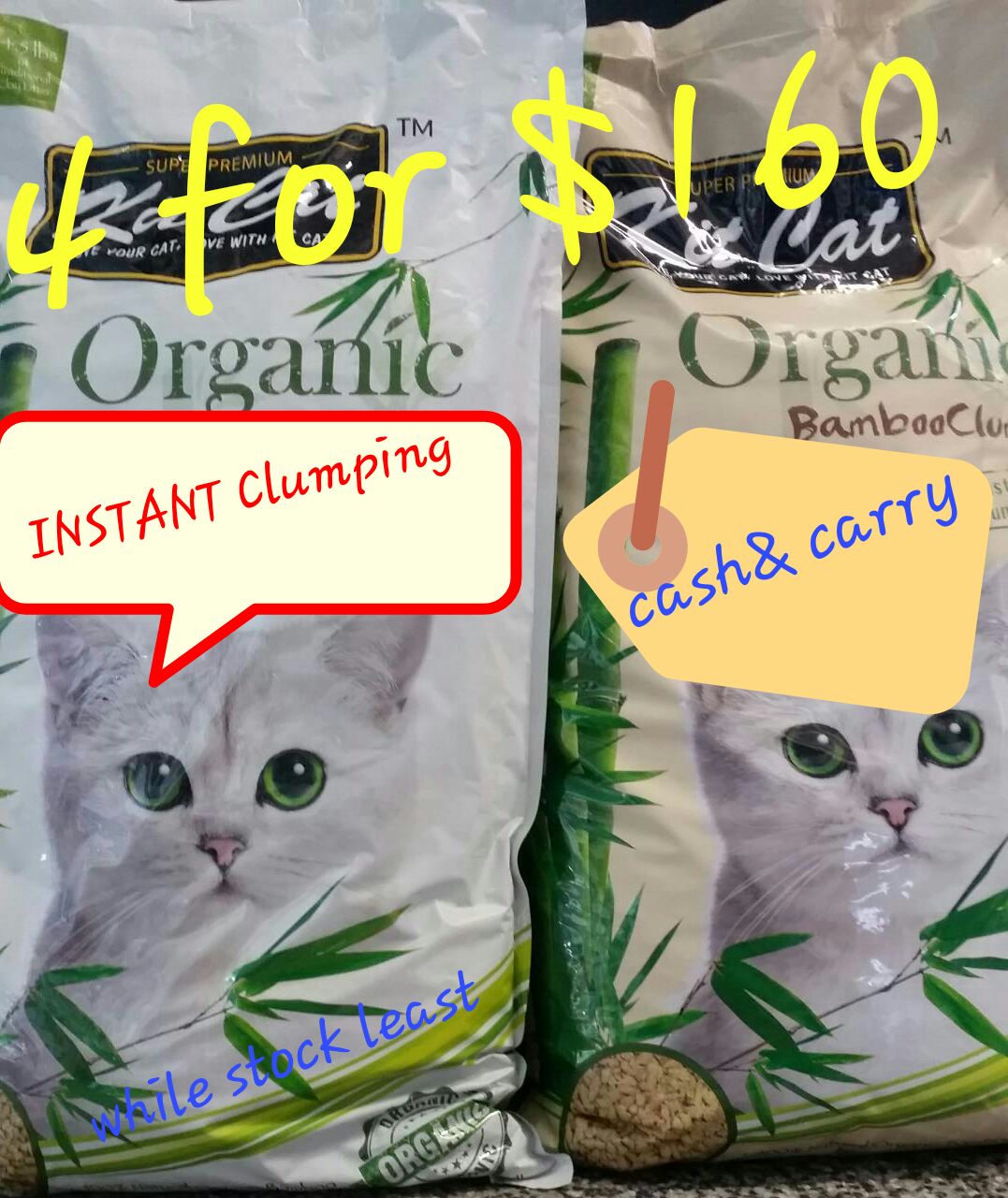 Popular Pet Shop In Singapore For Pet Accessories. Top Rated For 2016.