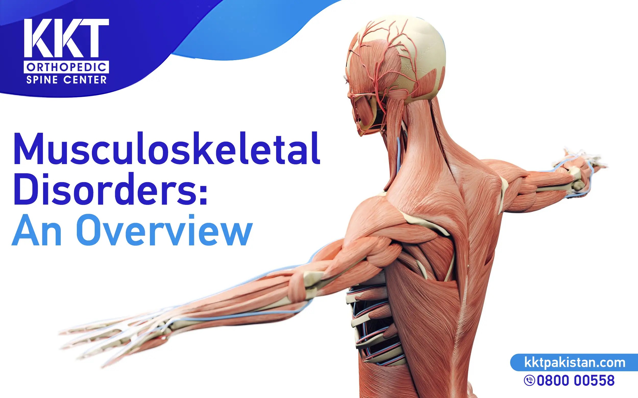 Musculoskeletal Disorders An Overview testingform