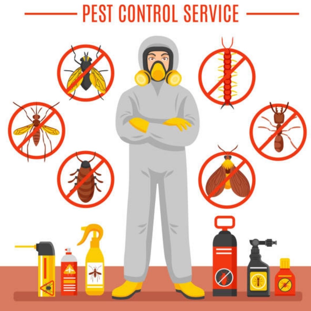Pest Control KL (Kuala Lumpur), Malaysia 1 Service & Price