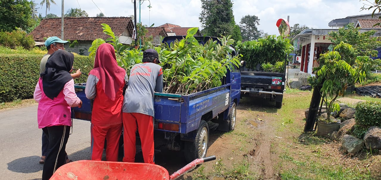 UD MITRA USAHA TANI PENJUAL BIBIT BUAH DI MAGELANG JAWA TENGAH Klik Online