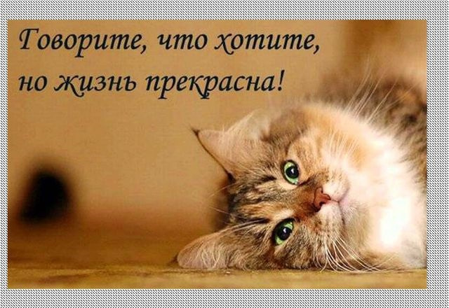 фото со смыслом без слов нарисованные