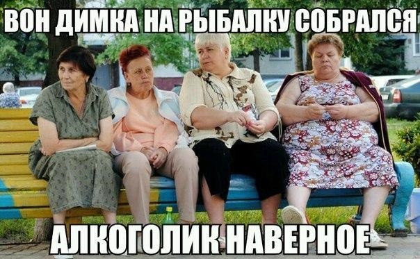 фото белочки для алкашей