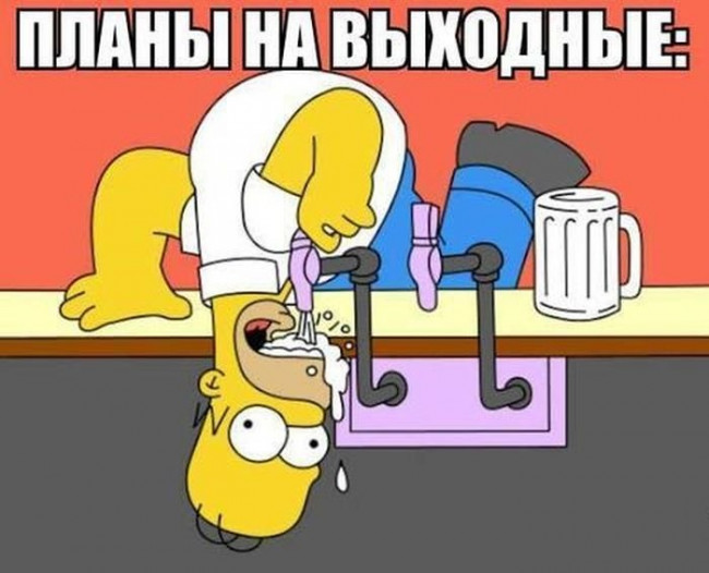фото белочки для алкашей