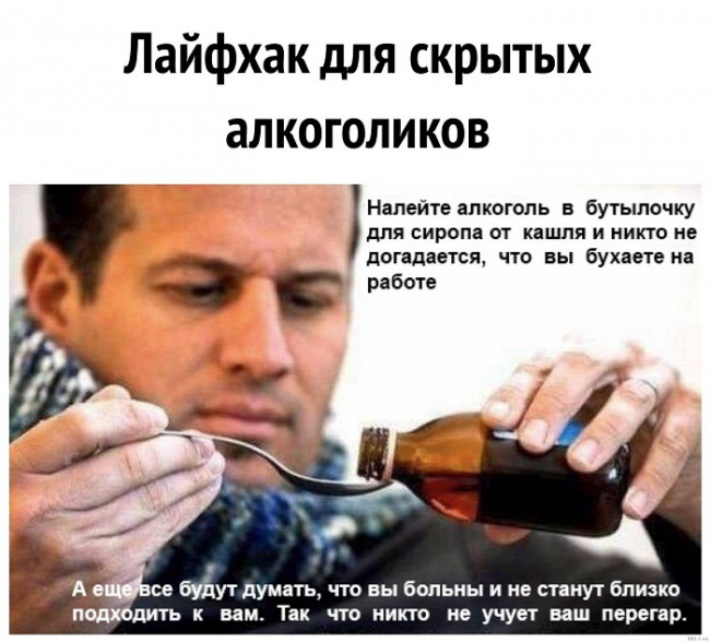 фото белочки для алкашей