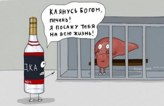 фото белочки для алкашей