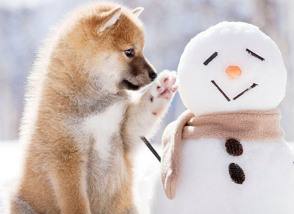 снеговик картинка нарисованная