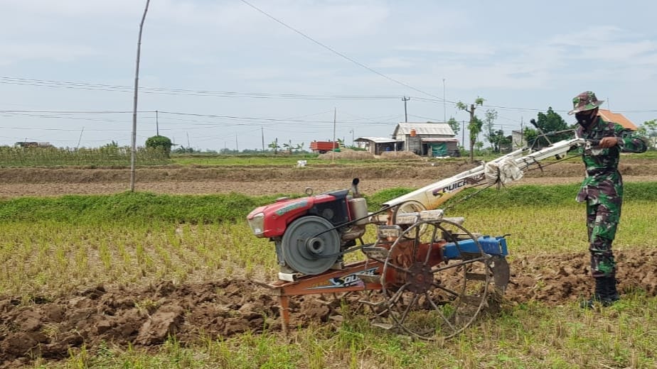 Gunakan Traktor Satgas TMMD Terjun Langsung Bantu Warga Bajak Sawah |  kliksumatera.com