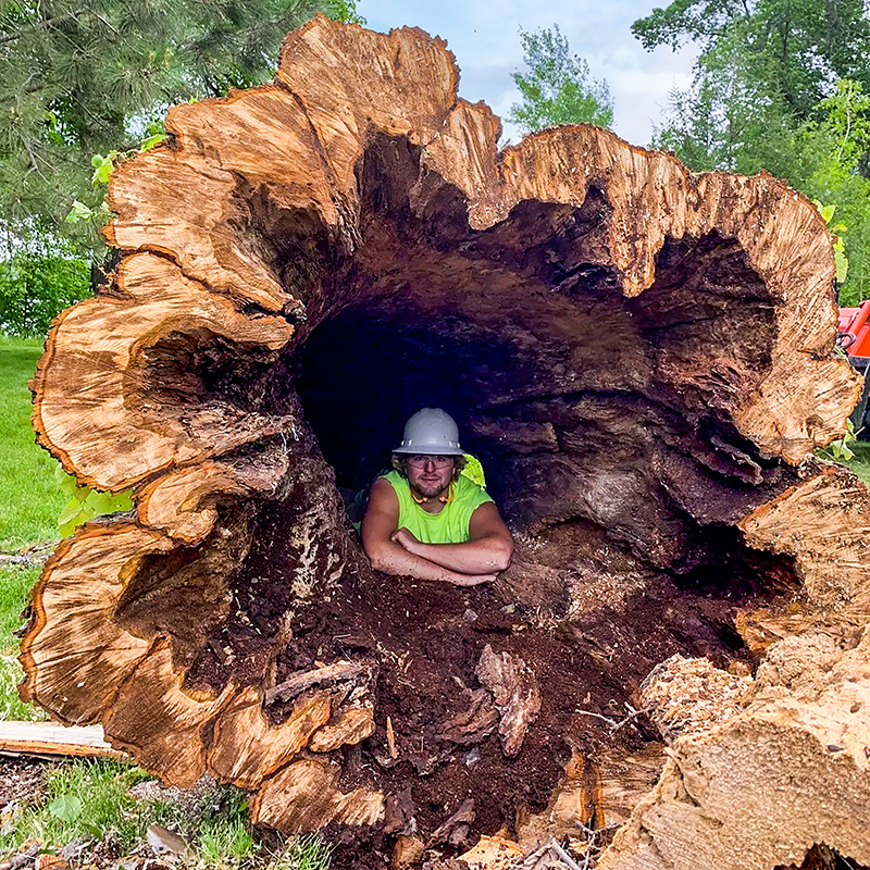 About Klimek's Tree Service Tree Removal Alexandria, MN