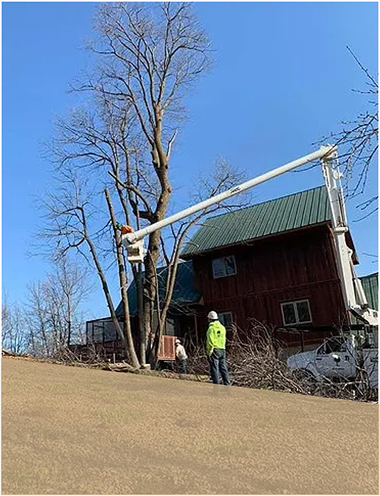 Klimek's Tree Service Tree Removal Alexandria, MN