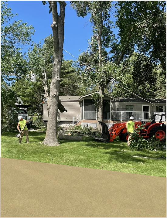 Klimek's Tree Service Tree Removal Alexandria, MN