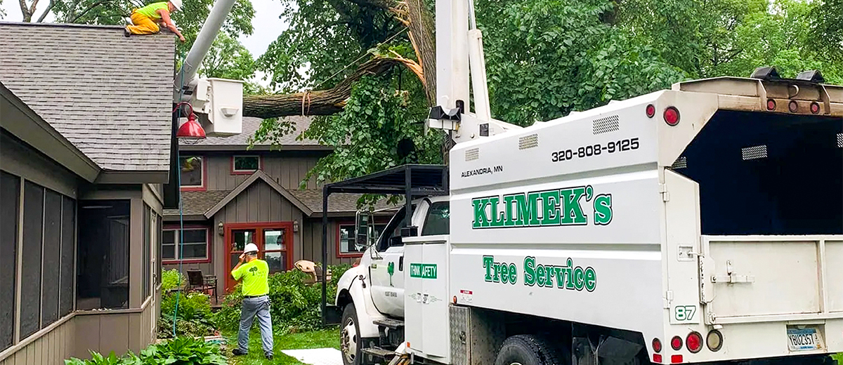Contact Klimek's Tree Service Alexandria, MN 3208089125