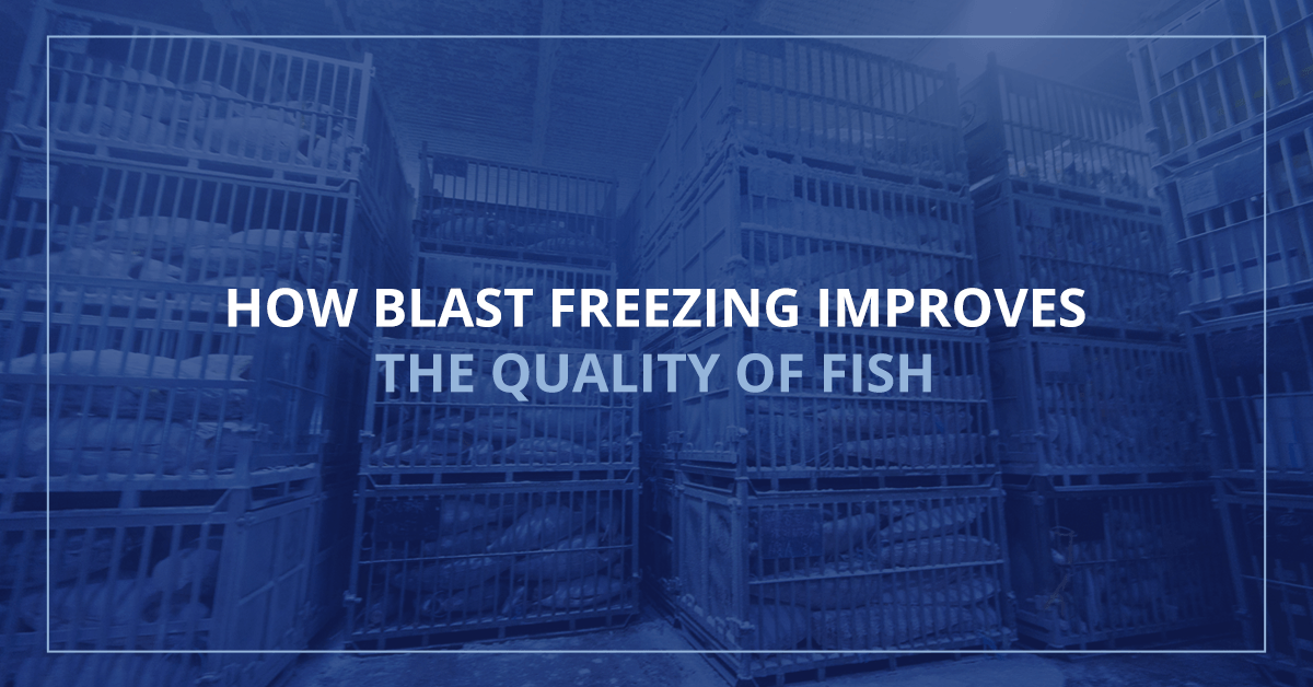 What is Blast Freezing? Klinge Corporation