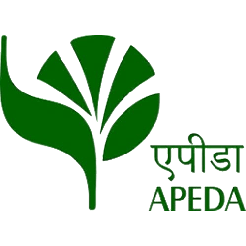 Home KLM Overseas Indian Basmatice Rice Manufacturer and Exporter