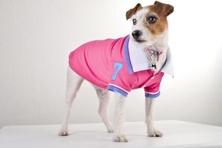 KLO POLO ROSA KLÓ PETS MÉXICO