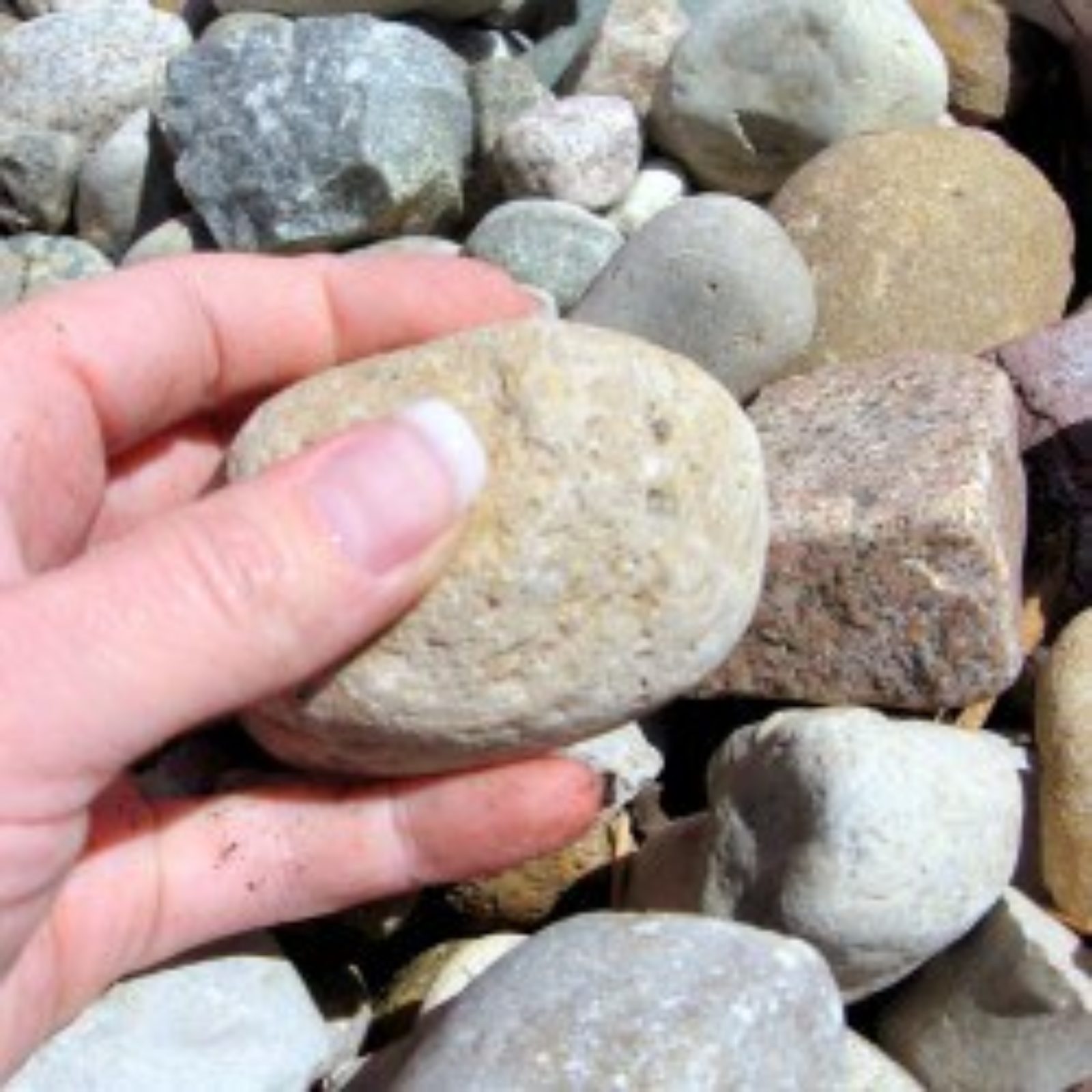 Kalamazoo Landscape Supplies