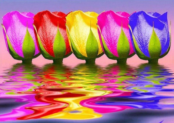 Beautiful Colorful Images (50 photos)