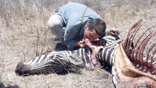 Mildly Disturbing Pictures of Animals Eating Other Animals