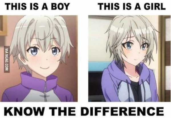 Ridiculous Anime Logic